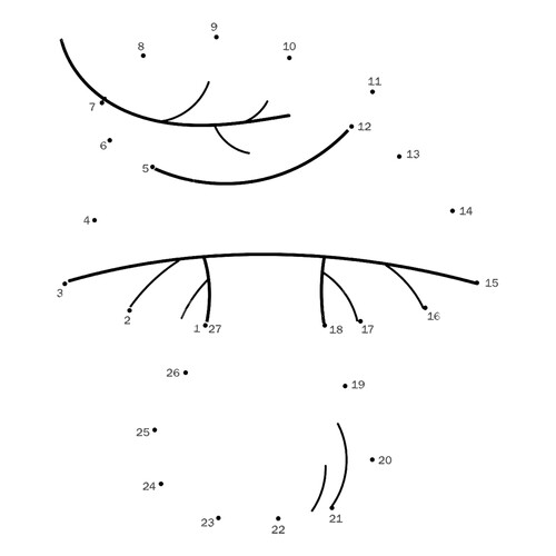 Раскраска Белый гриб по цифрам