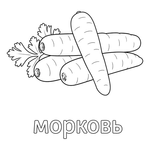 Раскраска Четыре морковки