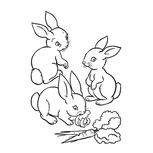 Зайчата кушают морковки