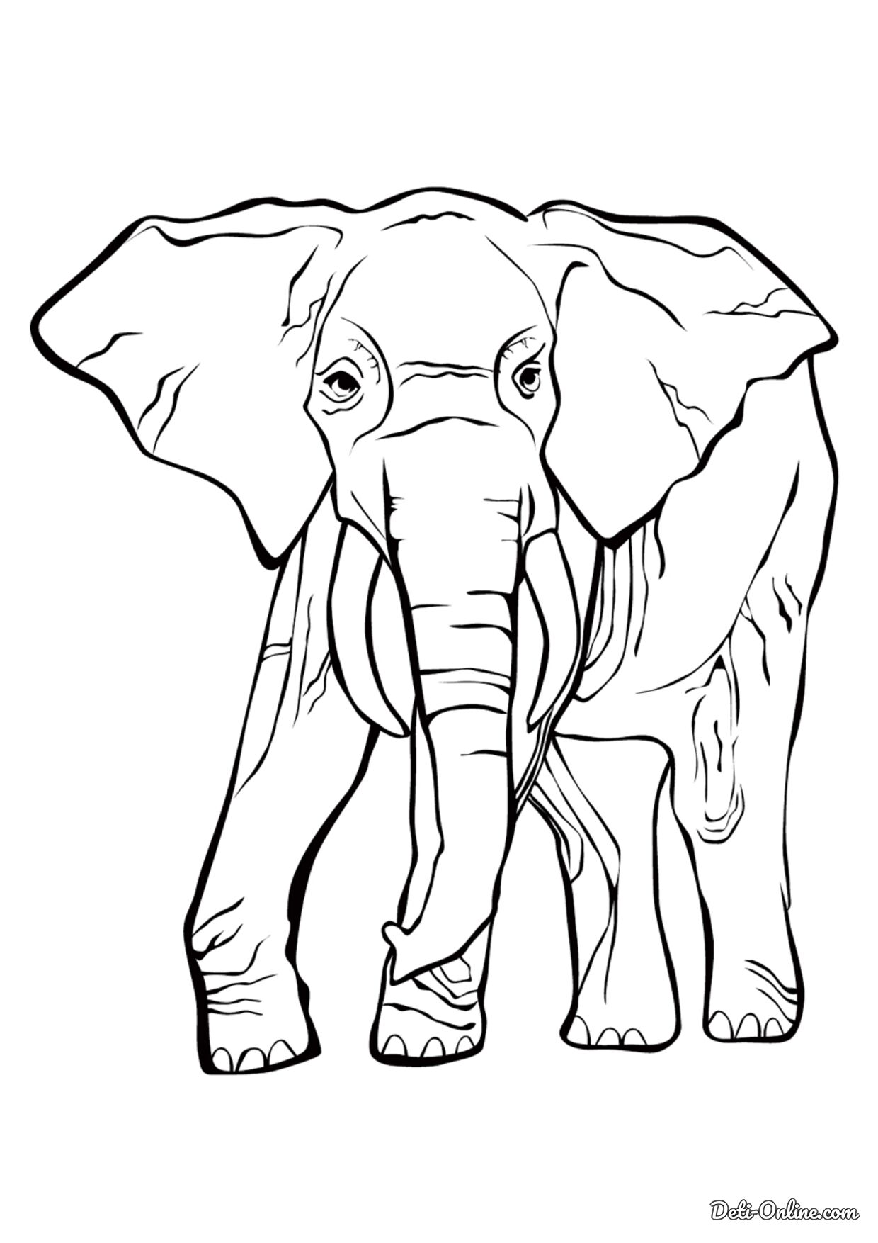 Раскраска - Щастливый мультяшный слон | Раскраски для детей и взрослых