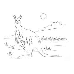 Кенгуру с кенгурёнком