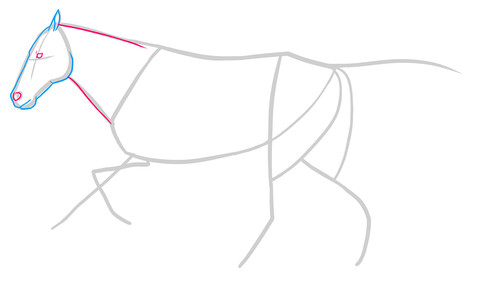 Как нарисовать лошадь 4