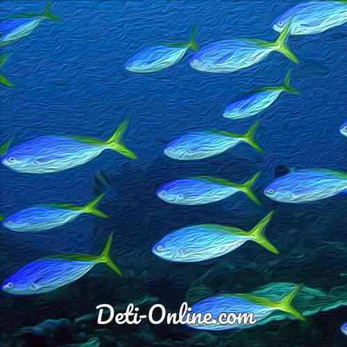 Загадки про рыбок | для детей, с ответами