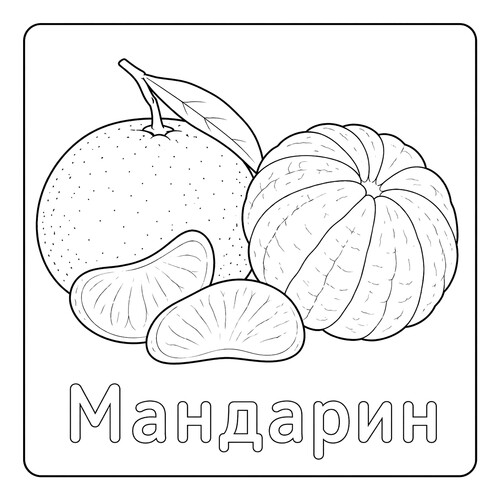 Раскраска Мандарин