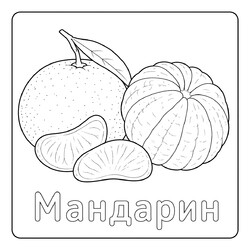 Раскраска Мандарин
