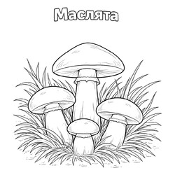 Раскраска Маслята