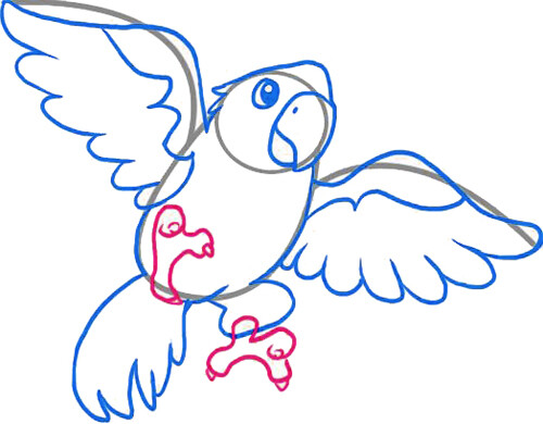 Как нарисовать попугая 5