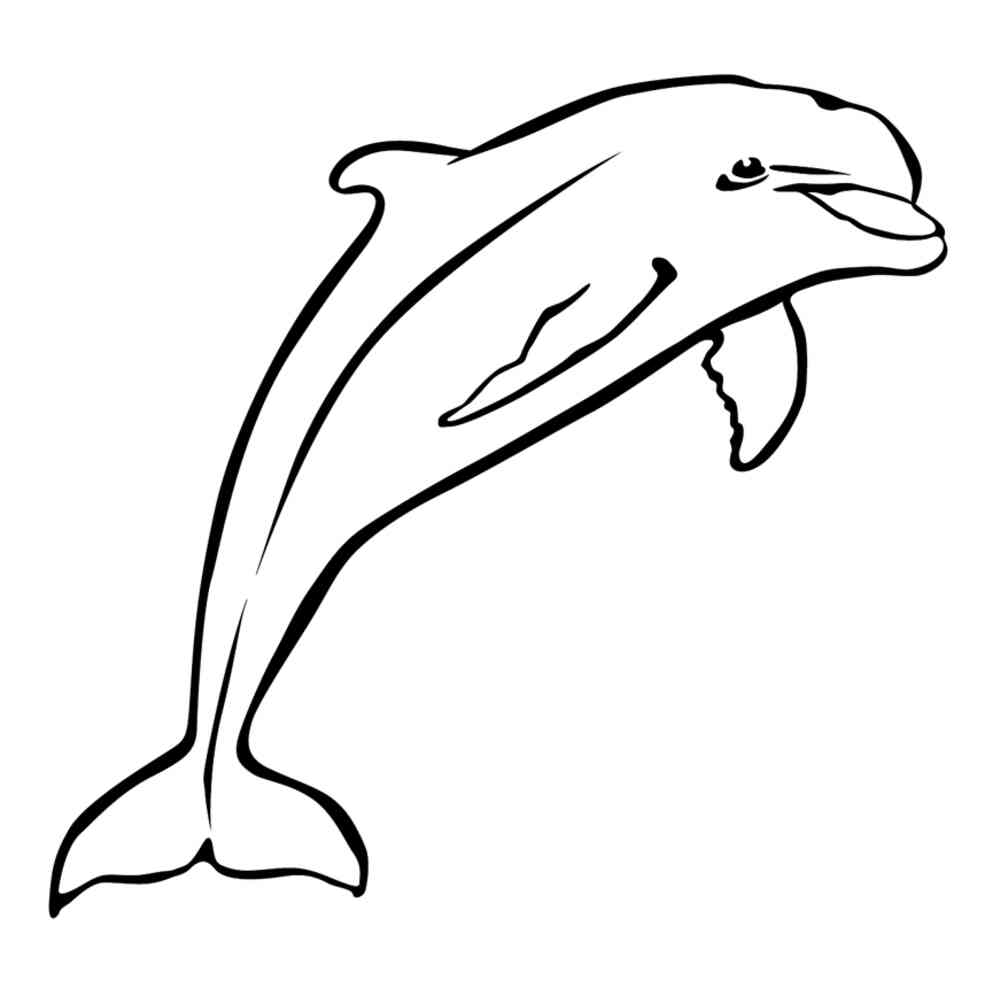 дельфин раскраска - Загрузить APK для Android | Aptoide