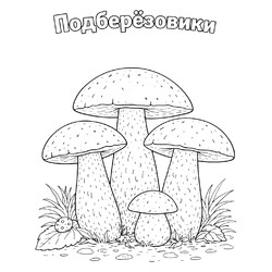 Подберёзовики