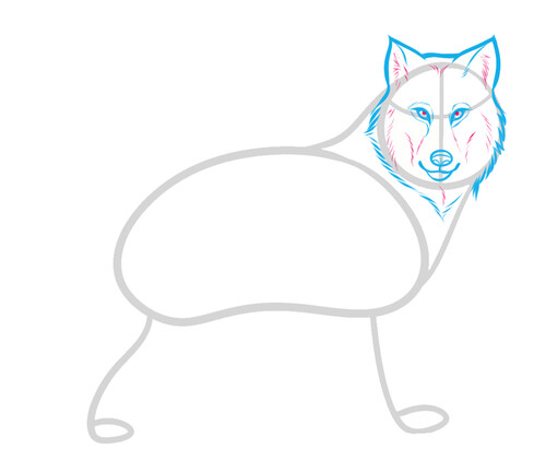 Как нарисовать волка 4