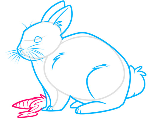 Как нарисовать кролика 6