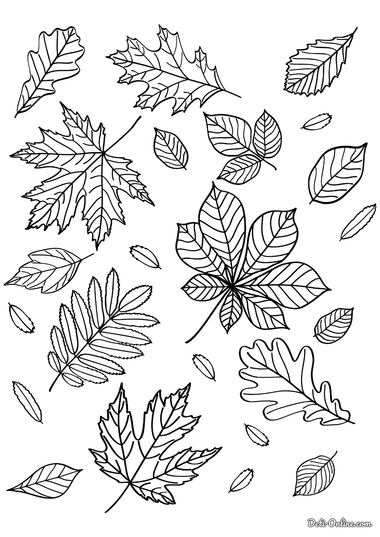 Раскрась листочки. Листья раскраска. Листик раскраска. Раскраска осень листья. Осенние листочки раскраска.