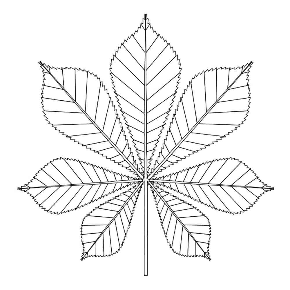 Листок схема. Лист каштан для вырезания. Каштановый лист трафарет для вырезания. Каштановый лист шаблон. Шаблоны листьев каштана.