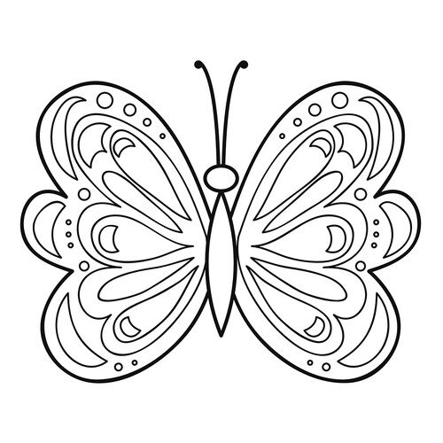Раскраска Бабочка с капельками