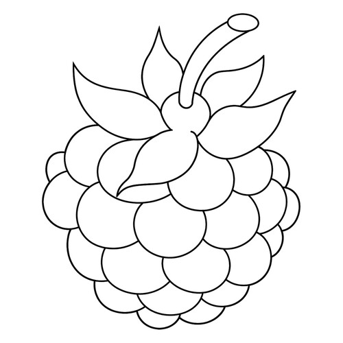 Раскраска Малина для малышей