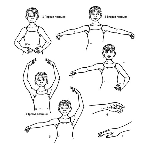 Позиции рук балерины