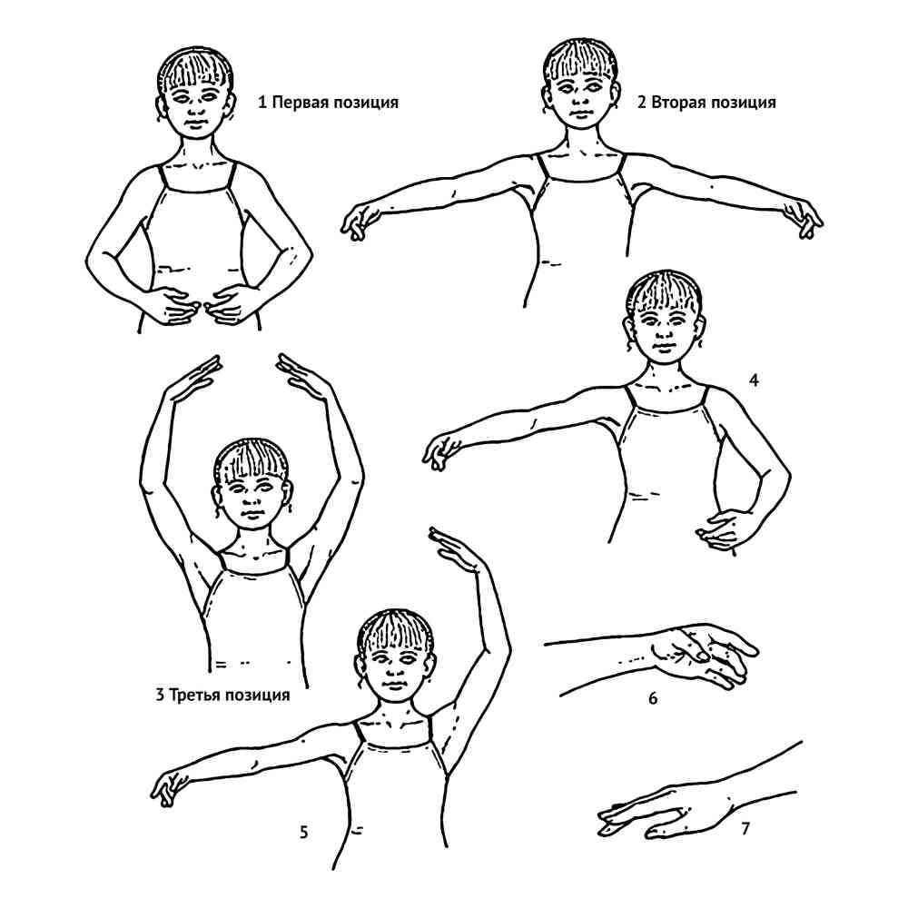 Позиции рук в хореографии названия с картинками