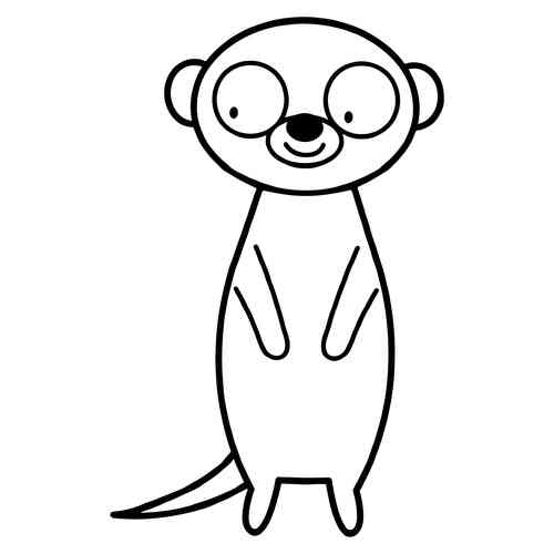 Раскраска Тюлень для малышей распечатать или скачать