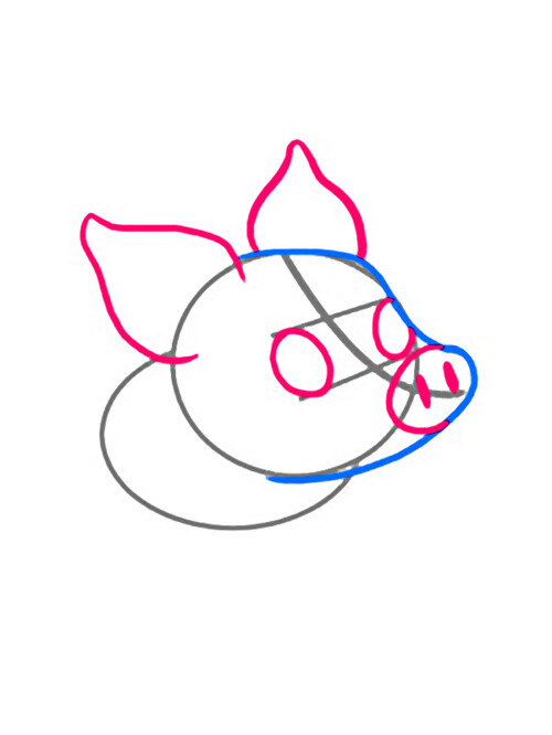 Как нарисовать свинью символ 2019 года 3