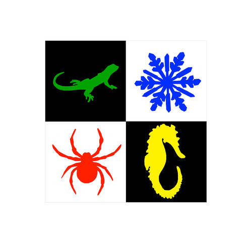 Контрастная карточка Ящерица, снежинка, паук