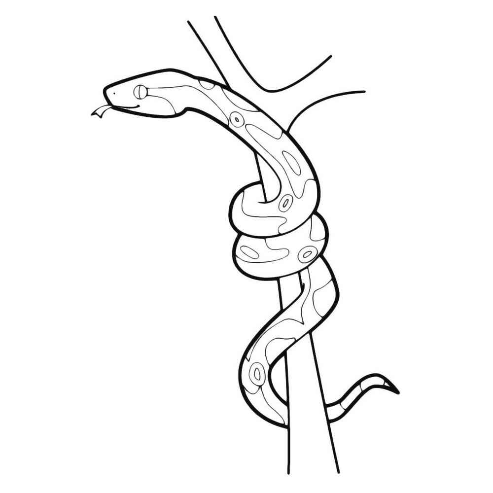 Змея на ветке