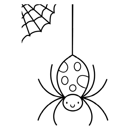 Раскраска Паук плетёт паутину