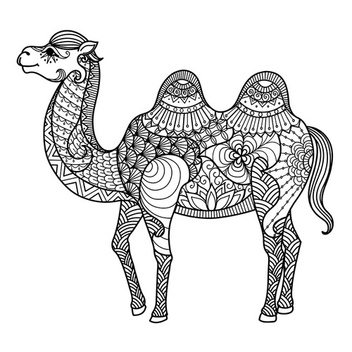 Раскраска Сложный верблюд