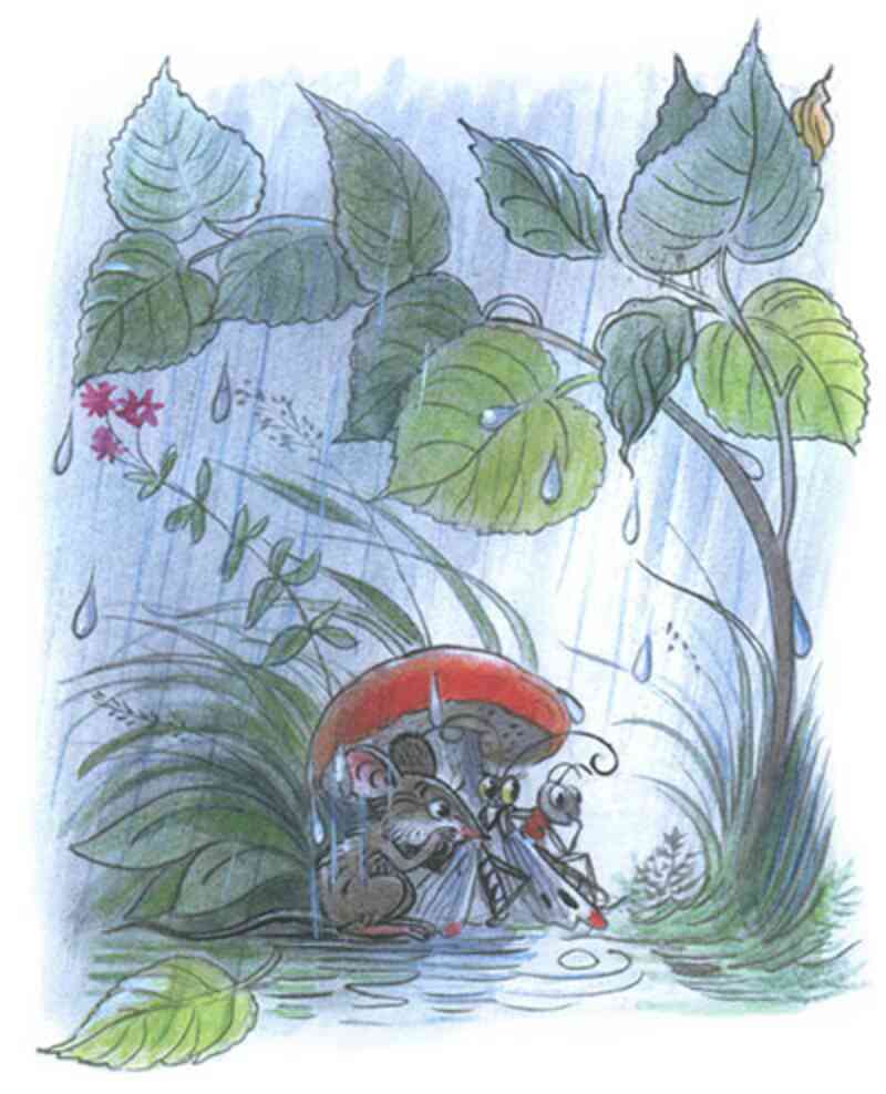 Под грибом (иллюстрация 07)