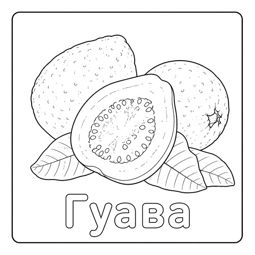 Раскраска Гуава