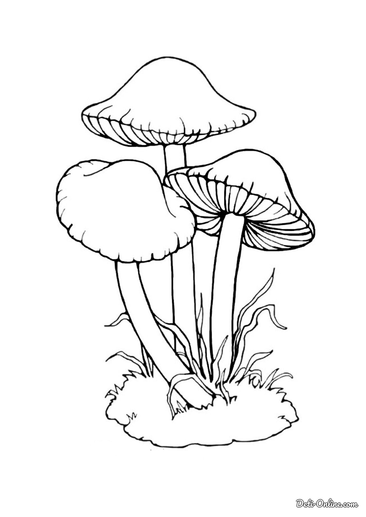 Картинки раскраски грибы цветные (53 фото)
