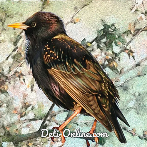 Скворец — басня Крылова — читать текст