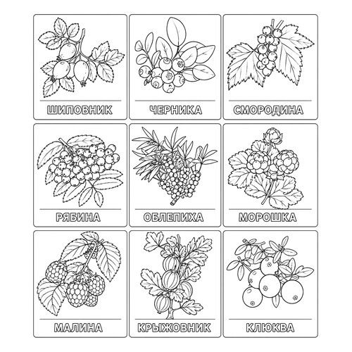 Раскраска Набор ягод с названиями