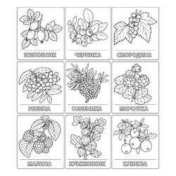 Набор ягод с названиями