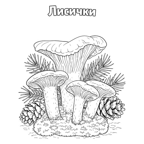 Раскраска Лисички