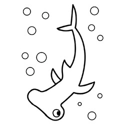 Акула-молот в поисках пищи