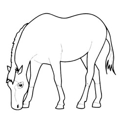 Раскраска Грустная лошадь