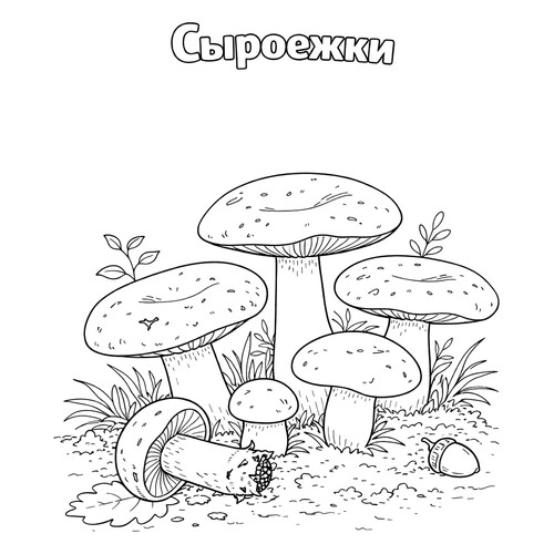 Раскраска Сыроежки