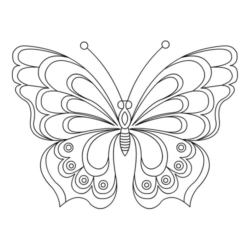 Бабочка с волнистой раскраской