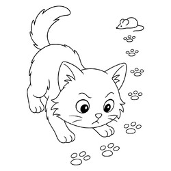 Кот ищет след мышки