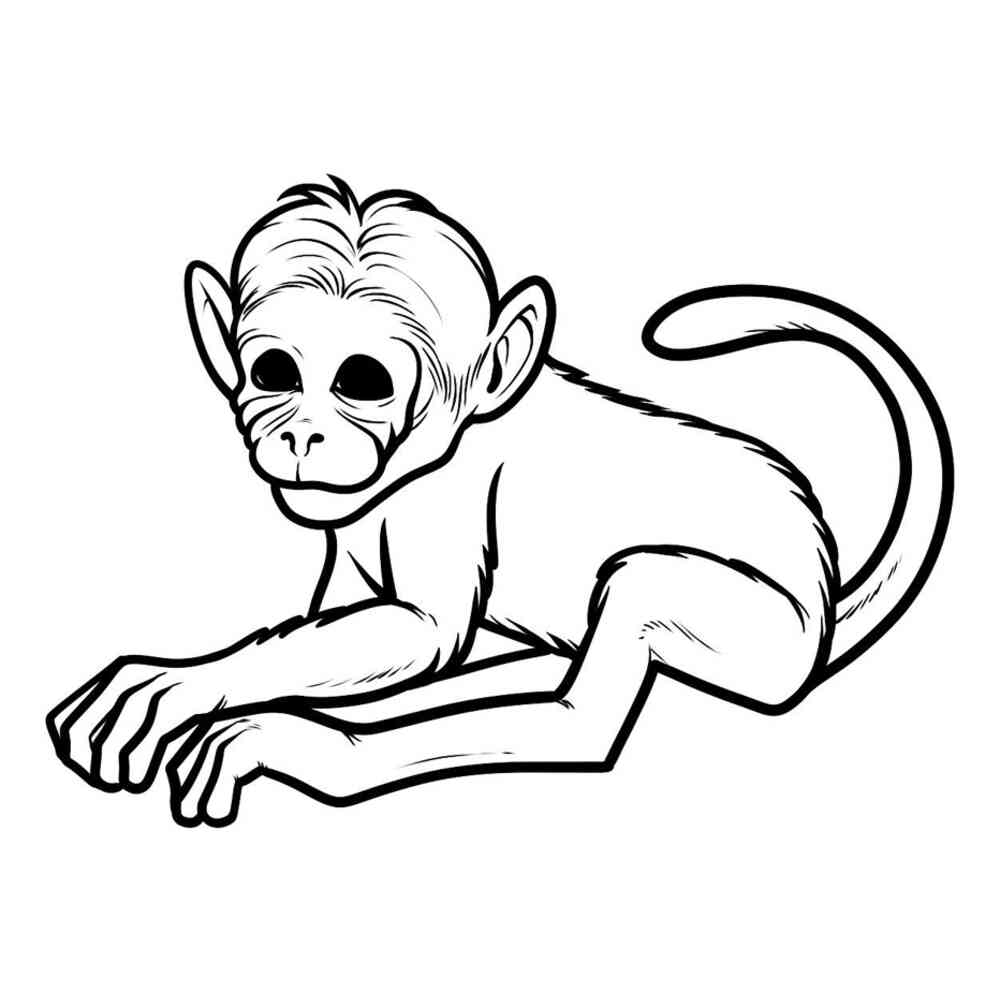 Рисунок маленькой обезьянки