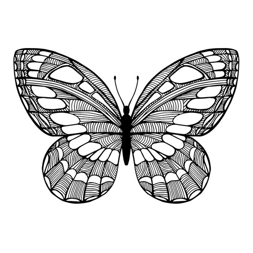 Бабочка с рисунками капель