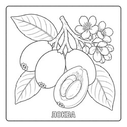 Раскраска Локва