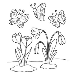 Раскраска Бабочки над цветочками