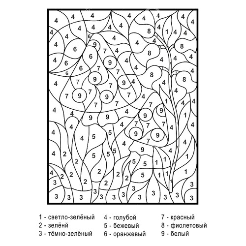 Раскраска Мухомор по номерам