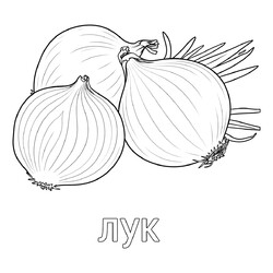 Раскраска Три луковицы