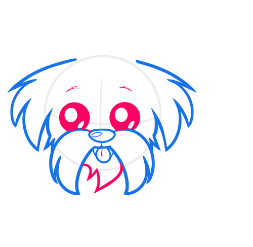 Как нарисовать собаку Ши-тцу 3