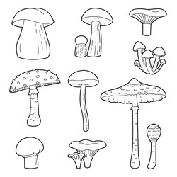 Раскраска Набор лесных грибов