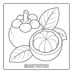 Раскраска Мангостан