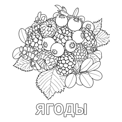 Раскраска Ягоды для детей