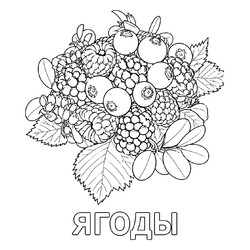 Раскраска Ягоды для детей